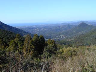 P1010015