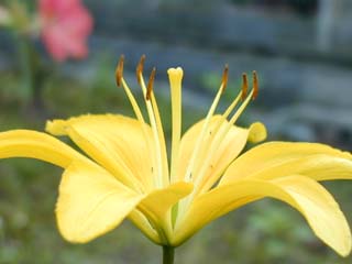 P6070072